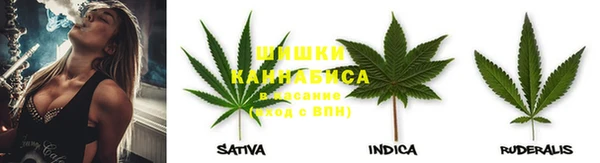 дурь Алексеевка